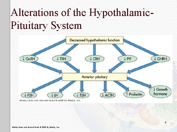 Alterations of the Hypothalamic. Pituitary System 5 Mosby items and derived items © 2006