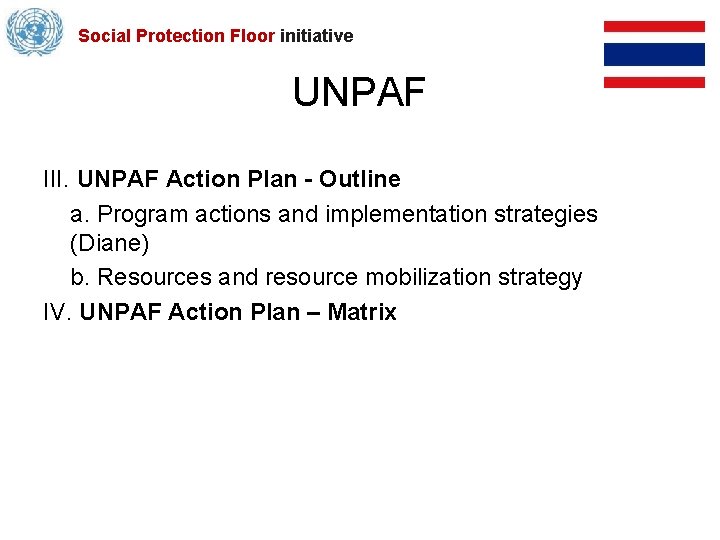 Social Protection Floor initiative UNPAF III. UNPAF Action Plan - Outline a. Program actions