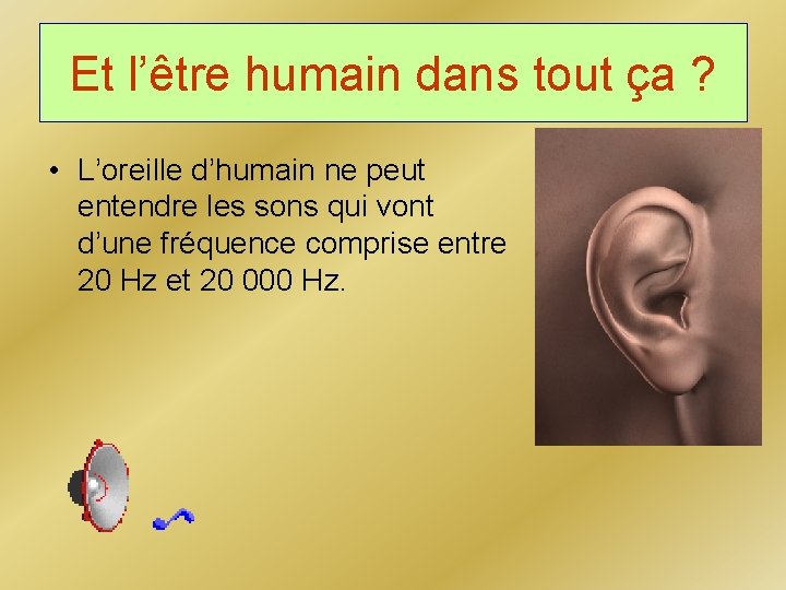 Et l’être humain dans tout ça ? • L’oreille d’humain ne peut entendre les