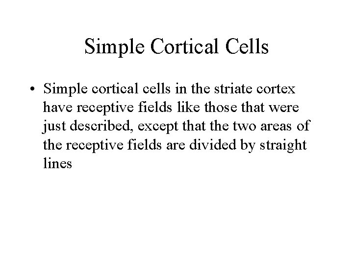 Simple Cortical Cells • Simple cortical cells in the striate cortex have receptive fields