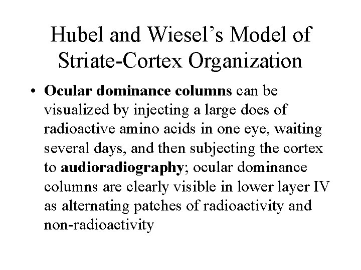 Hubel and Wiesel’s Model of Striate-Cortex Organization • Ocular dominance columns can be visualized