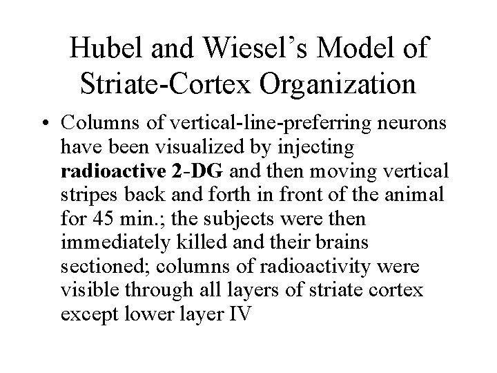 Hubel and Wiesel’s Model of Striate-Cortex Organization • Columns of vertical-line-preferring neurons have been