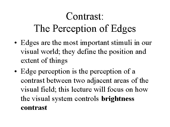 Contrast: The Perception of Edges • Edges are the most important stimuli in our