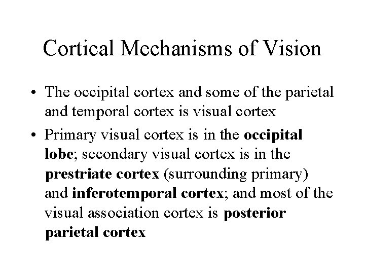 Cortical Mechanisms of Vision • The occipital cortex and some of the parietal and