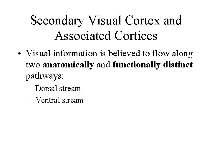 Secondary Visual Cortex and Associated Cortices • Visual information is believed to flow along