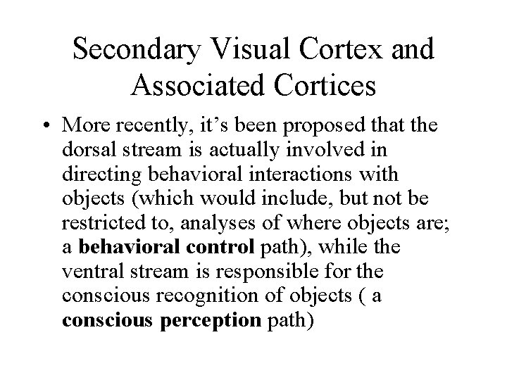 Secondary Visual Cortex and Associated Cortices • More recently, it’s been proposed that the