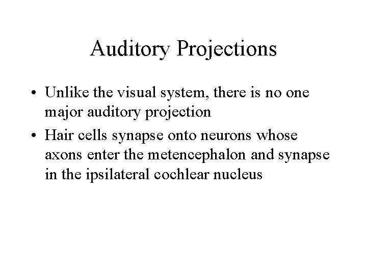 Auditory Projections • Unlike the visual system, there is no one major auditory projection