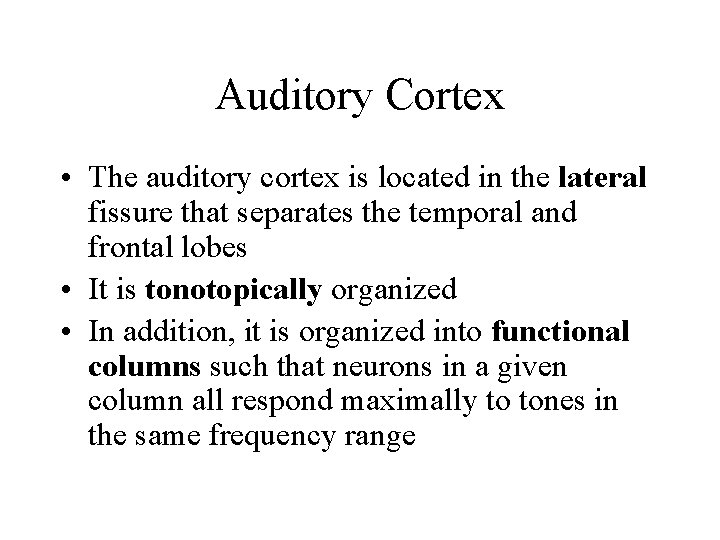 Auditory Cortex • The auditory cortex is located in the lateral fissure that separates