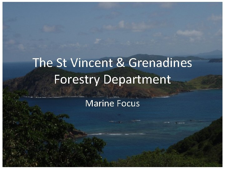 The St Vincent & Grenadines Forestry Department Marine Focus 