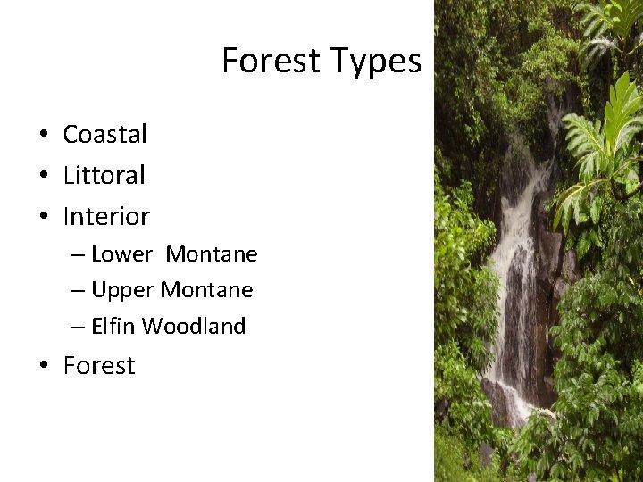 Forest Types • Coastal • Littoral • Interior – Lower Montane – Upper Montane