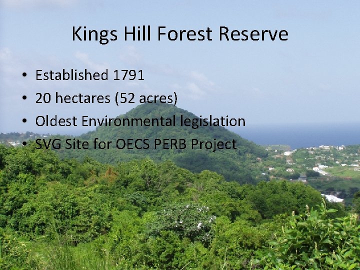 Kings Hill Forest Reserve • • Established 1791 20 hectares (52 acres) Oldest Environmental