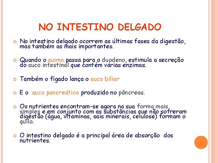 NO INTESTINO DELGADO No intestino delgado ocorrem as últimas fases da digestão, mas também