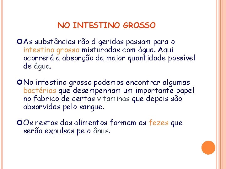 NO INTESTINO GROSSO As substâncias não digeridas passam para o intestino grosso misturadas com