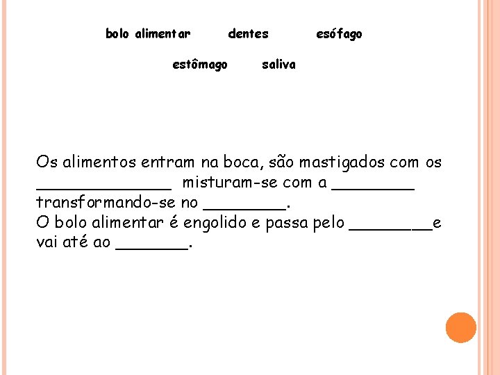  bolo alimentar dentes esófago estômago saliva Os alimentos entram na boca, são mastigados