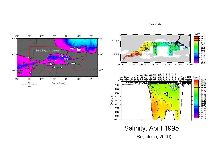 Salinity, April 1995 (Beşiktepe, 2000) 