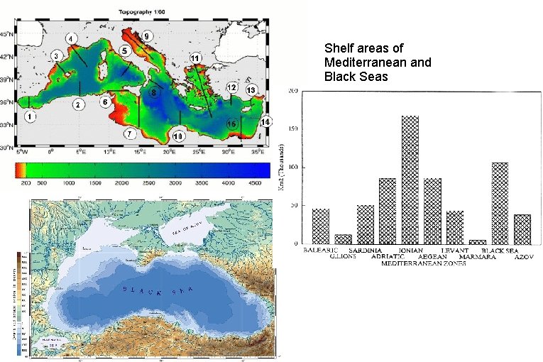 Shelf areas of Mediterranean and Black Seas 