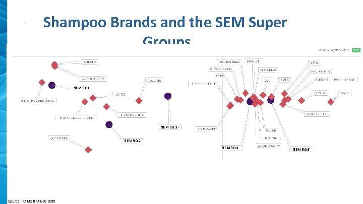 Shampoo Brands and the SEM Super Groups SEM SG 1 SEM SG 3 SEM