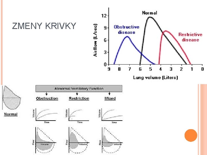 ZMENY KRIVKY 