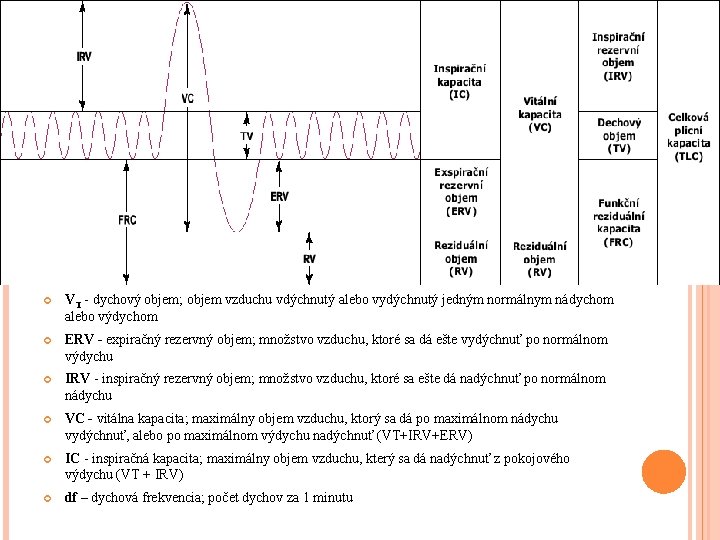 ORIENTAČNÁ SPIROMETRIA VT - dychový objem; objem vzduchu vdýchnutý alebo vydýchnutý jedným normálnym nádychom