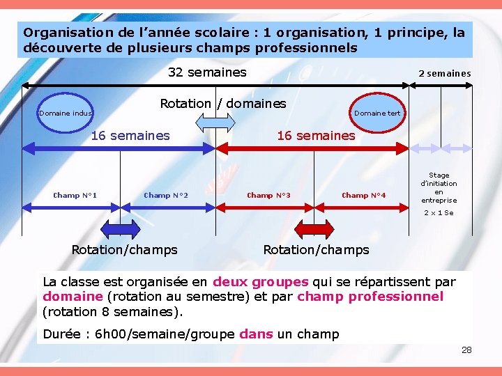 Organisation de l’année scolaire : 1 organisation, 1 principe, la découverte de plusieurs champs