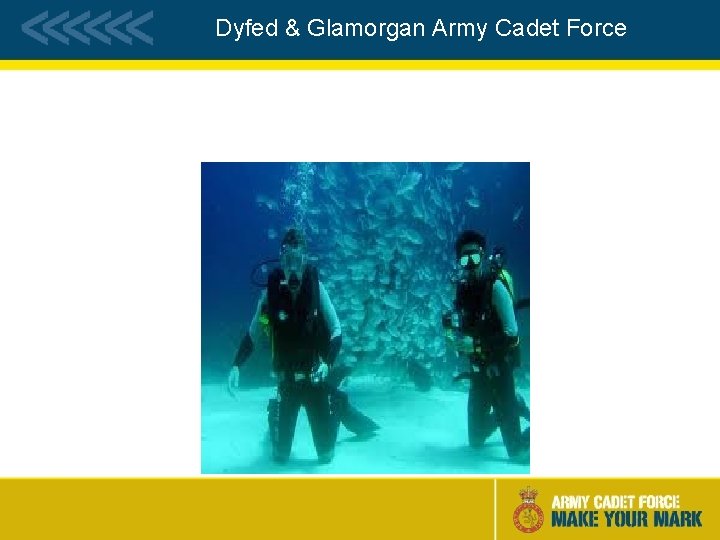 Dyfed & Glamorgan Army Cadet Force 