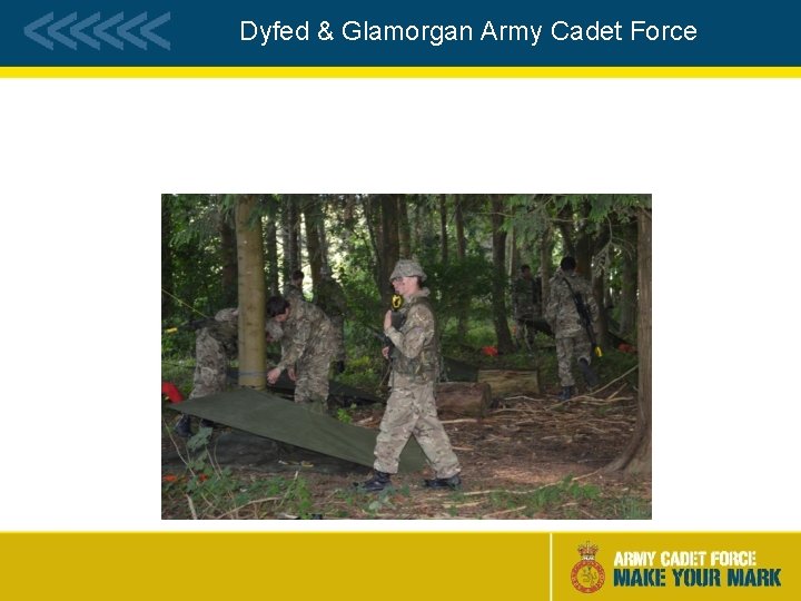 Dyfed & Glamorgan Army Cadet Force 