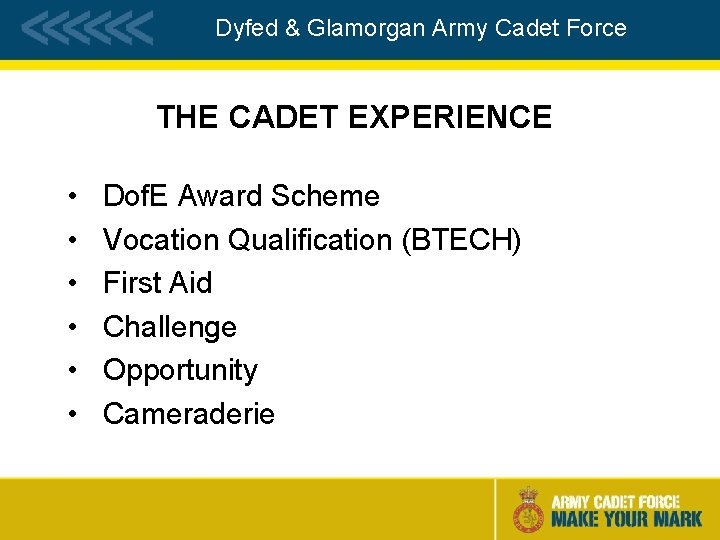 Dyfed & Glamorgan Army Cadet Force THE CADET EXPERIENCE • • • Dof. E