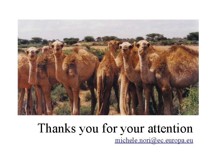 Thanks you for your attention michele. nori@ec. europa. eu 