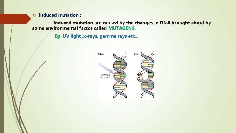  Induced mutation : Induced mutation are caused by the changes in DNA brought