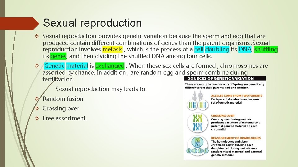 Sexual reproduction provides genetic variation because the sperm and egg that are produced contain