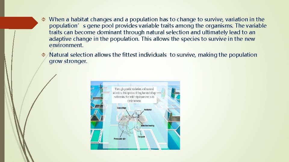  When a habitat changes and a population has to change to survive, variation