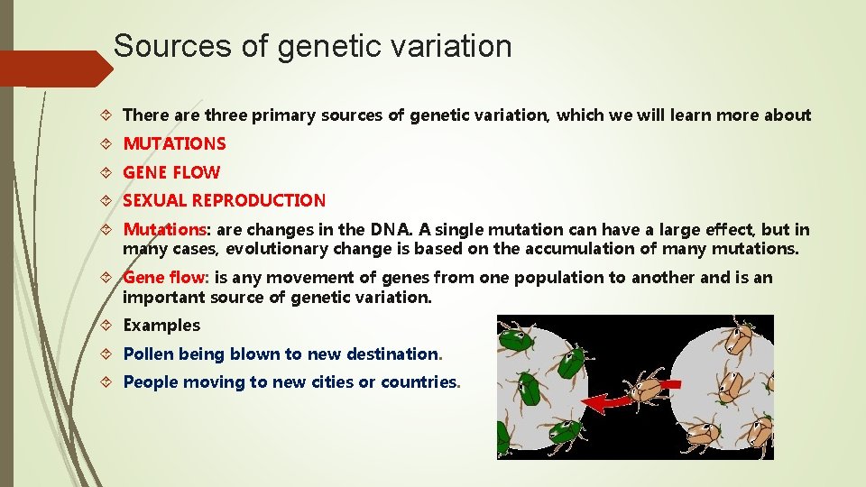 Sources of genetic variation There are three primary sources of genetic variation, which we