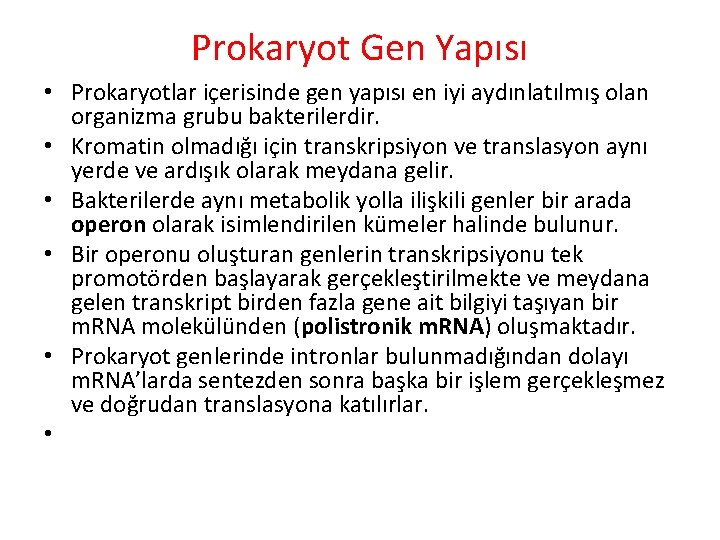 Prokaryot Gen Yapısı • Prokaryotlar içerisinde gen yapısı en iyi aydınlatılmış olan organizma grubu