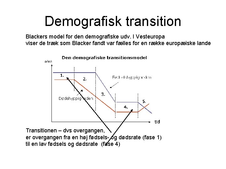 Demografisk transition Blackers model for den demografiske udv. I Vesteuropa viser de træk som
