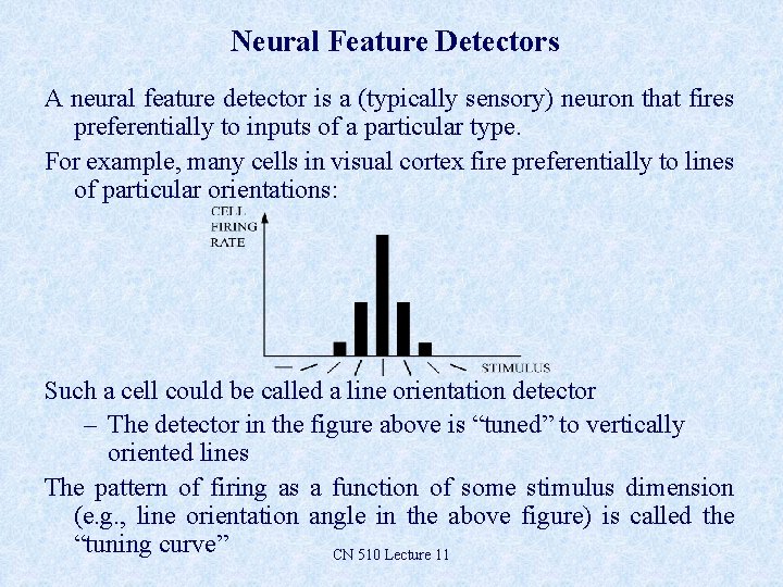 Neural Feature Detectors A neural feature detector is a (typically sensory) neuron that fires