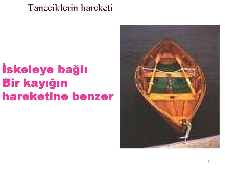 Taneciklerin hareketi İskeleye bağlı Bir kayığın hareketine benzer 13 