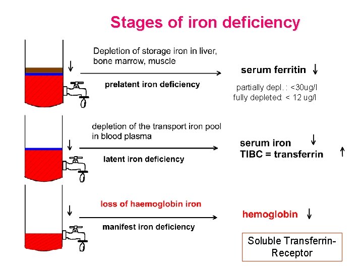 Stages of iron deficiency partially depl. : <30 ug/l fully depleted: < 12 ug/l