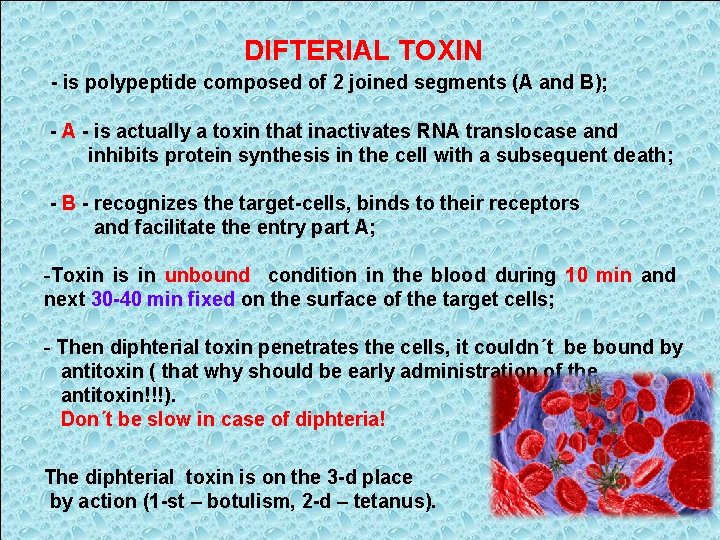 DIFTERIAL TOXIN - is polypeptide composed of 2 joined segments (A and B); -