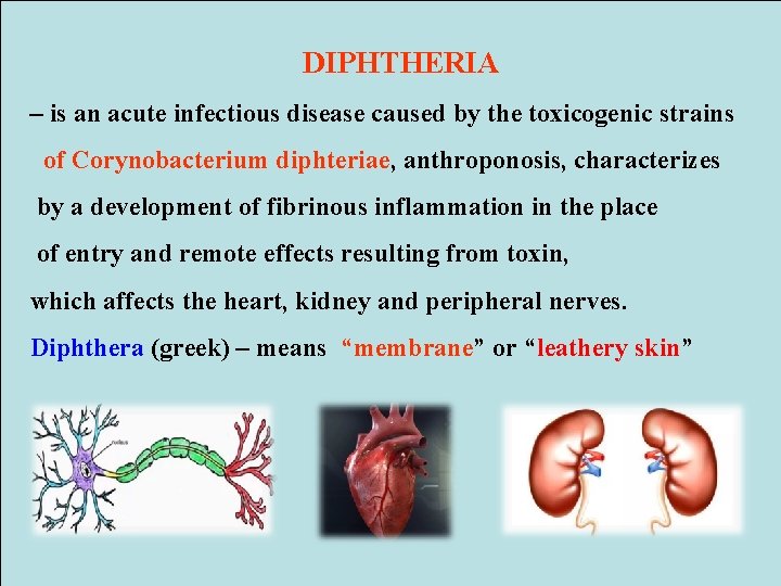 DIPHTHERIA – is an acute infectious disease caused by the toxicogenic strains of Corynobacterium