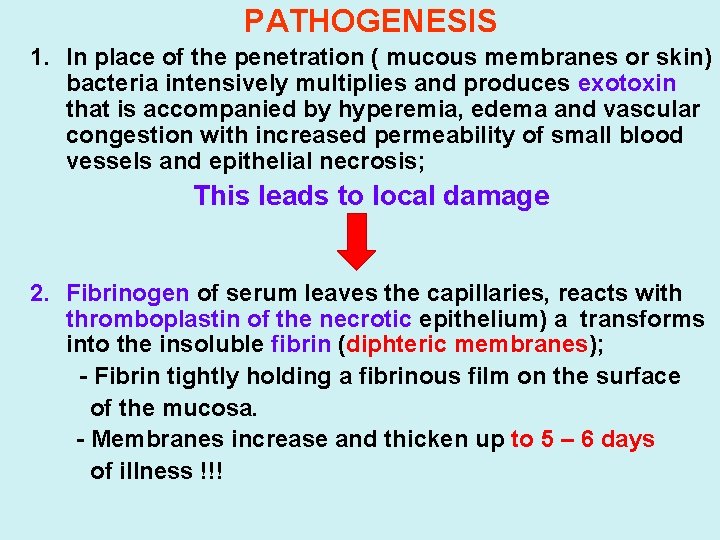 PATHOGENESIS 1. In place of the penetration ( mucous membranes or skin) bacteria intensively
