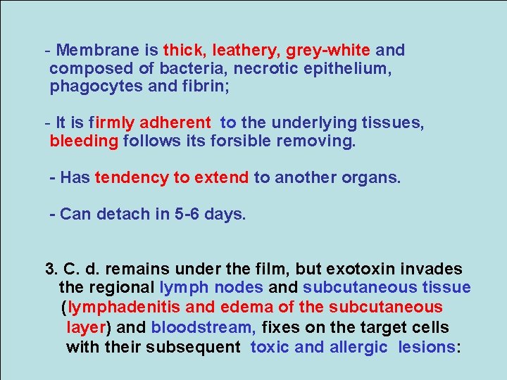 - Membrane is thick, leathery, grey-white and composed of bacteria, necrotic epithelium, phagocytes and