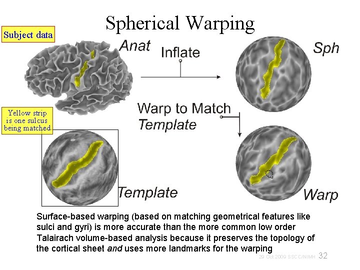 Subject data Spherical Warping Yellow strip is one sulcus being matched Surface-based warping (based