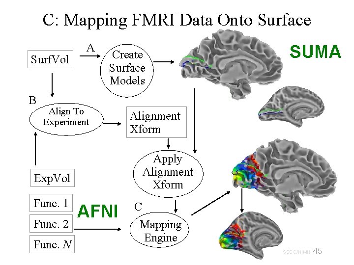 C: Mapping FMRI Data Onto Surface Surf. Vol B A Create Surface Models Align