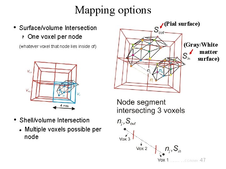 Mapping options • Surface/volume Intersection One voxel per node (whatever voxel that node lies