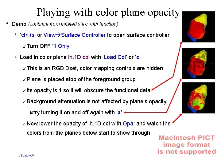 Playing with color plane opacity • Demo (continue from inflated view with function) ‘ctrl+s’