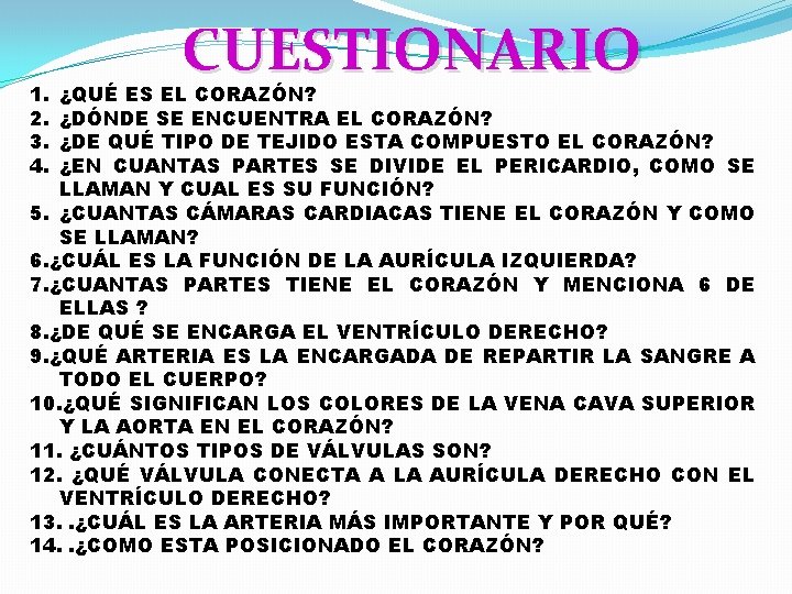 1. 2. 3. 4. CUESTIONARIO ¿QUÉ ES EL CORAZÓN? ¿DÓNDE SE ENCUENTRA EL CORAZÓN?