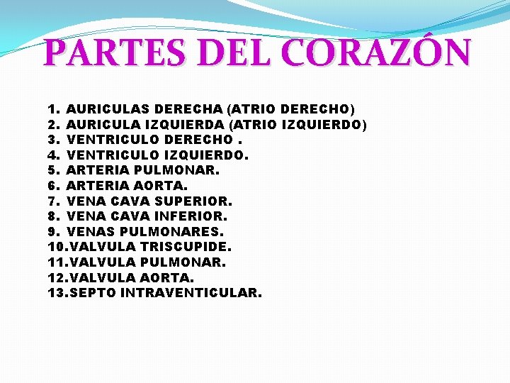 PARTES DEL CORAZÓN 1. AURICULAS DERECHA (ATRIO DERECHO) 2. AURICULA IZQUIERDA (ATRIO IZQUIERDO) 3.