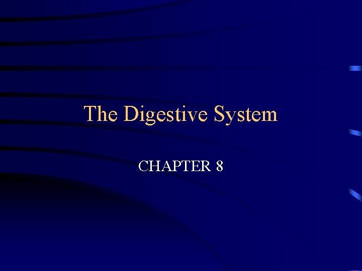 The Digestive System CHAPTER 8 