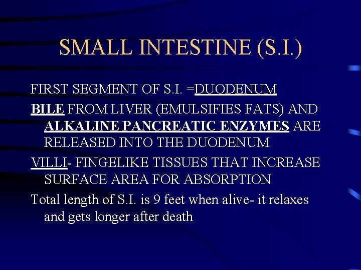 SMALL INTESTINE (S. I. ) FIRST SEGMENT OF S. I. =DUODENUM BILE FROM LIVER