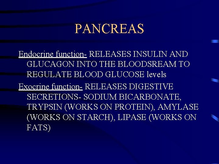 PANCREAS Endocrine function- RELEASES INSULIN AND GLUCAGON INTO THE BLOODSREAM TO REGULATE BLOOD GLUCOSE